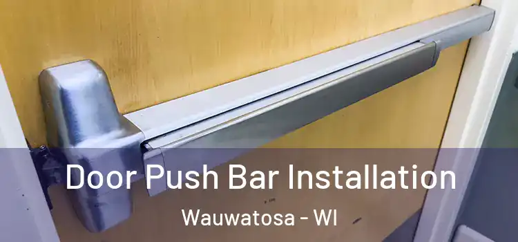  Door Push Bar Installation Wauwatosa - WI