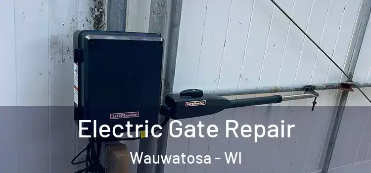 Electric Gate Repair Wauwatosa - WI
