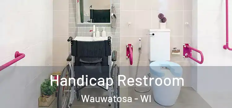  Handicap Restroom Wauwatosa - WI